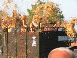 Høken bij Flophouse in Toldiek (Toldijk 2006, foto: Harold Pelgrom)
