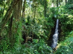 Waterfall, Florida 2024 (foto: Harold Pelgrom)