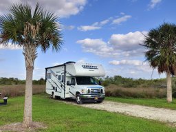 Everglades, Florida 2024 (foto: Harold Pelgrom)