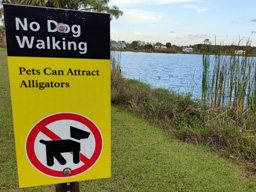 Alligator warning, Everglades, Florida 2024 (foto: Harold Pelgrom)