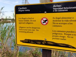 Alligator warning, Everglades, Florida 2024 (foto: Harold Pelgrom)