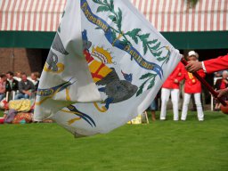 Vaandelslaan bij het tuinhuis tijdens het Volksfeest (Hummelo 2010, foto: Harold Pelgrom)